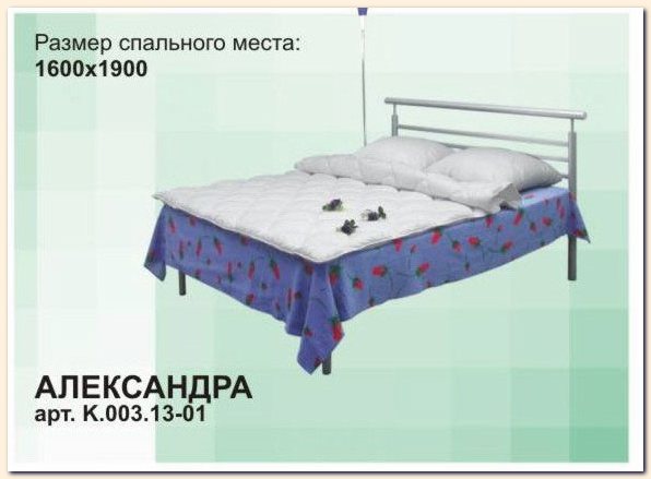 Furniture for hotel. Metal bed